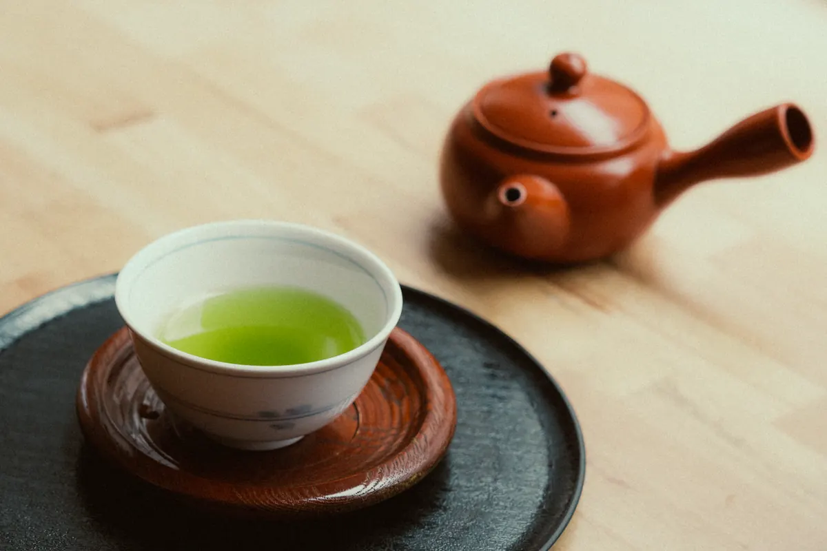 Matcha vs Sencha: A Beginner's Guide to Green Tea Types and Brewing